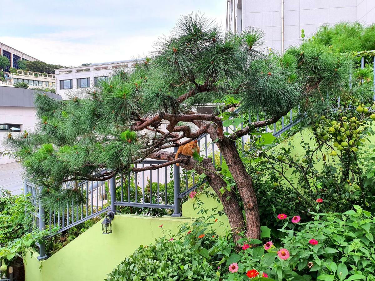 Guest house Happy Garden *